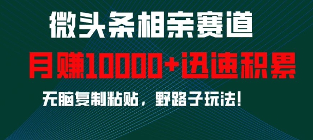 微头条相亲赛道，迅速积累，无脑复制粘贴，野路子玩法，月入1w-kk网创