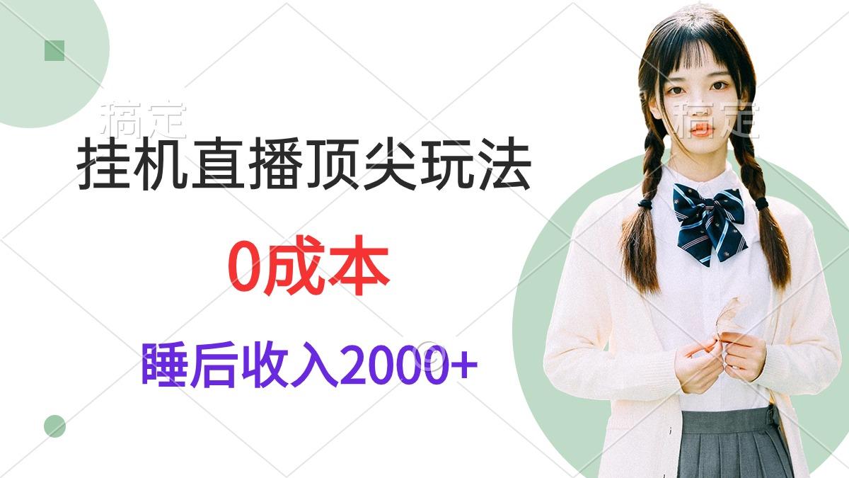 (9715期)挂机直播顶尖玩法，睡后日收入2000+、0成本，视频教学-kk网创