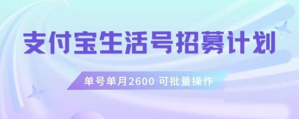 支付宝生活号作者招募计划，单号单月2600，可批量去做，工作室一人一个月轻松1w+【揭秘】-kk网创
