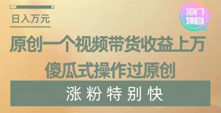 原创一个视频带货收益上万，傻瓜式操作过原创，几分钟做一个视频涨粉特别快【揭秘】-kk网创
