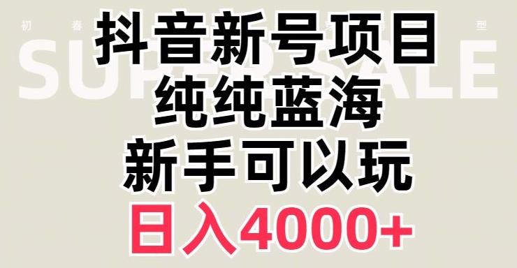 抖音蓝海赛道，必须是新账号，日入4000+【揭秘】-kk网创