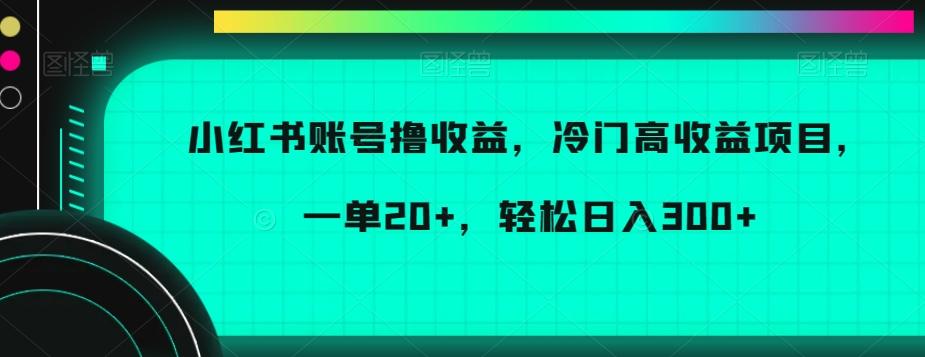 小红书账号撸收益，冷门高收益项目，一单20+，轻松日入300+【揭秘】-kk网创