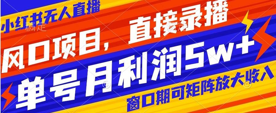 风口项目，小红书无人直播带货，直接录播，可矩阵，月入5w+【揭秘】-kk网创