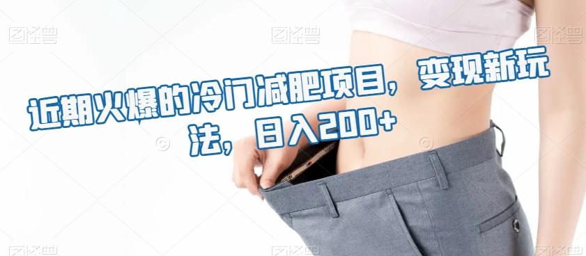 近期火爆的冷门减肥项目，变现新玩法，日入200+-kk网创