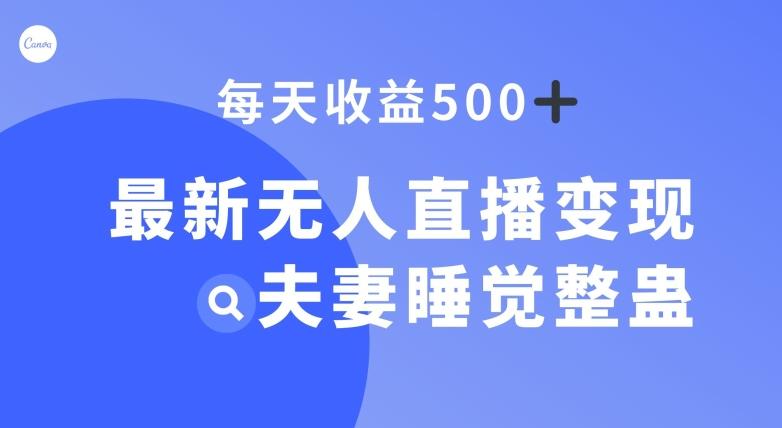 最新无人直播变现，夫妻睡觉整蛊，每天躺赚500+【揭秘】-kk网创