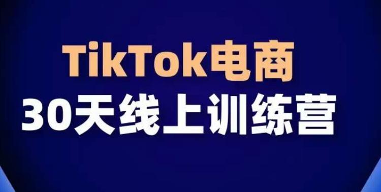 TikTok电商带货30天线上课，不可错过的全球流量洼地！-kk网创