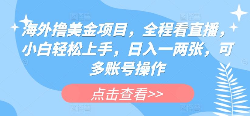 海外撸美金项目，全程看直播，小白轻松上手，日入一两张，可多账号操作【揭秘】-kk网创