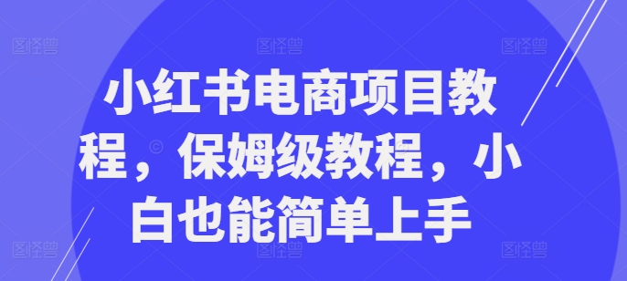 小红书电商项目教程，保姆级教程，小白也能简单上手-kk网创