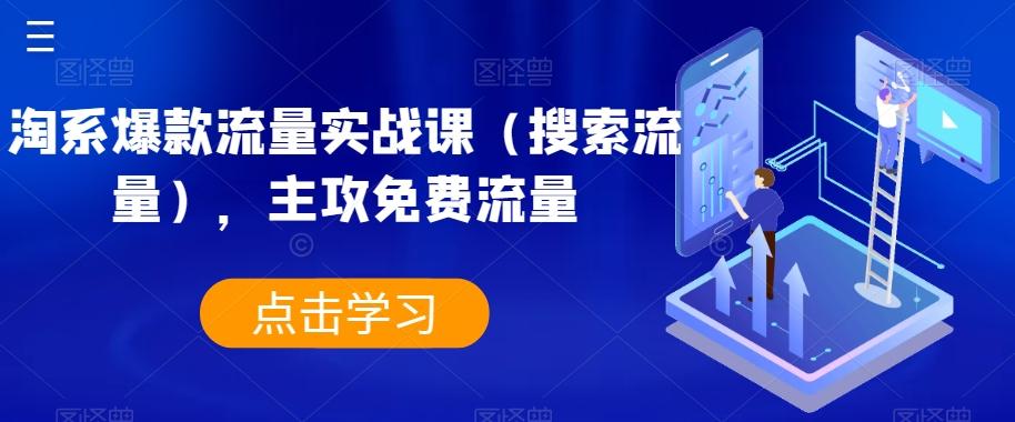 淘系爆款流量实战课（搜索流量），主攻免费流量-kk网创