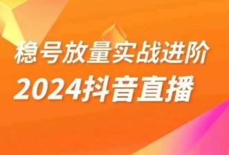 稳号放量实战进阶—2024抖音直播，直播间精细化运营的几大步骤-kk网创