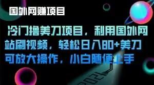 冷门撸美刀项目，利用国外网站刷视频，轻松日入80+美刀，可放大操作，小白随便上手-kk网创