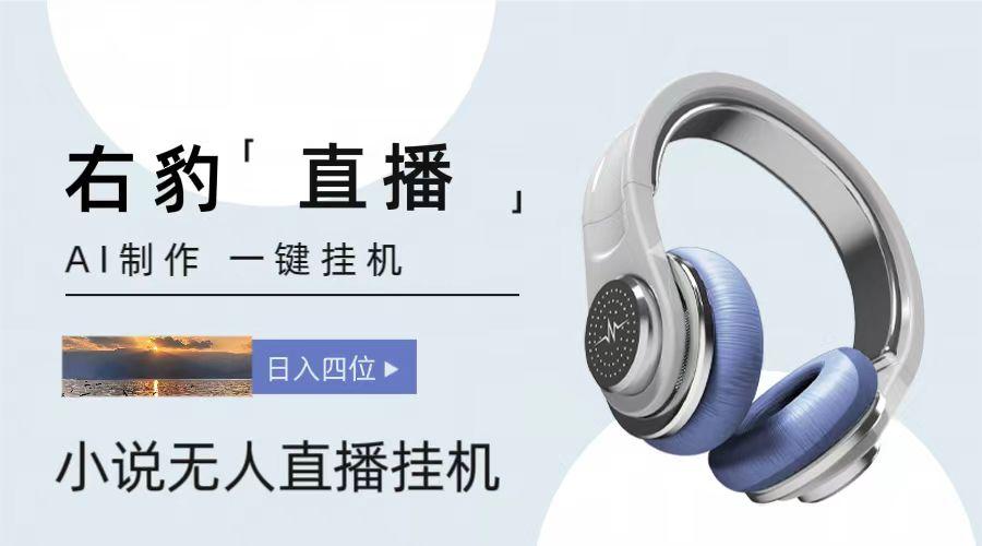 右豹小说无人直播挂机吸金项目，简单易行收益稳定， 月入1000+-kk网创