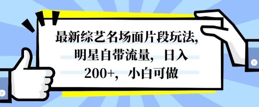 最新综艺名场面片段玩法，明星自带流量，日入200+，小白可做【揭秘】-kk网创