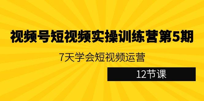 视频号短视频实操训练营第5期：7天学会短视频运营(12节课)-kk网创