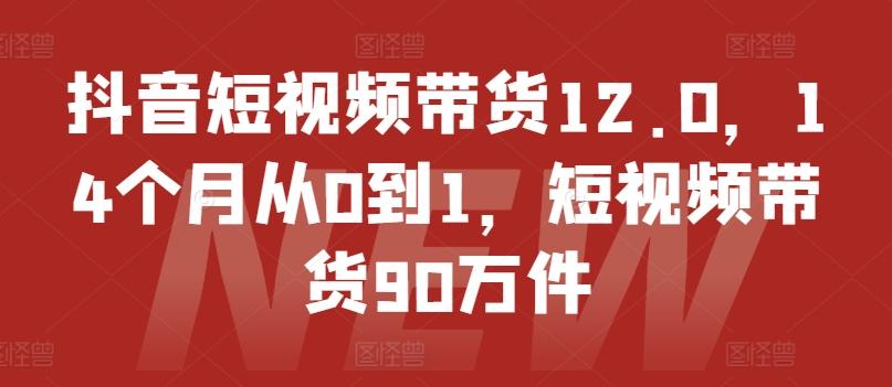 抖音短视频带货12.0，14个月从0到1，短视频带货90万件-kk网创