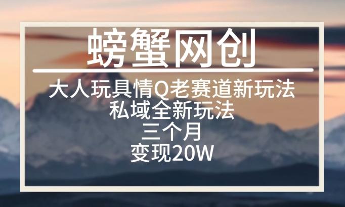 大人玩具情Q用品赛道私域全新玩法，三个月变现20W，老项目新思路【揭秘】-kk网创
