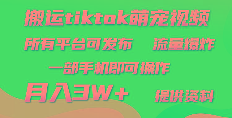 (9618期)搬运Tiktok萌宠类视频，一部手机即可。所有短视频平台均可操作，月入3W+-kk网创