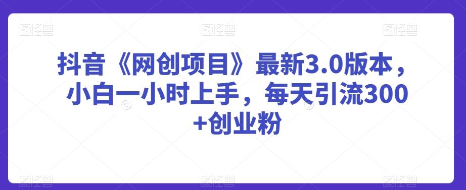 抖音《网创项目》最新3.0版本，小白一小时上手，每天引流300+创业粉【揭秘】-kk网创