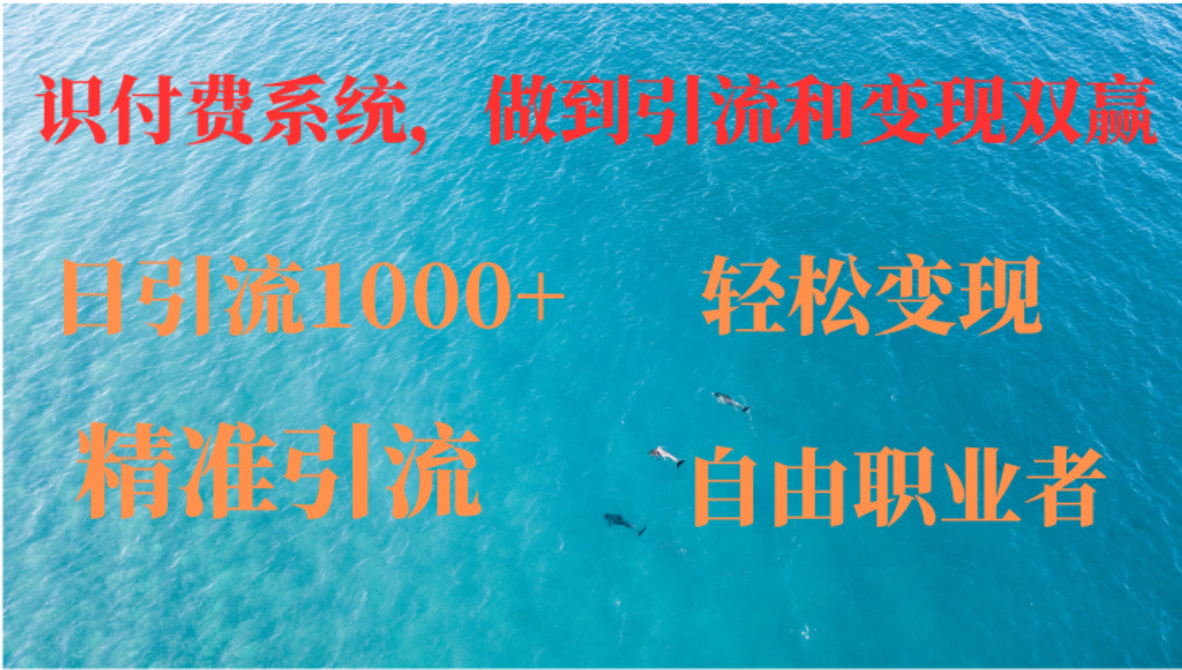 如何搭建自己的知识付费系统，做到引流和变现双赢-kk网创