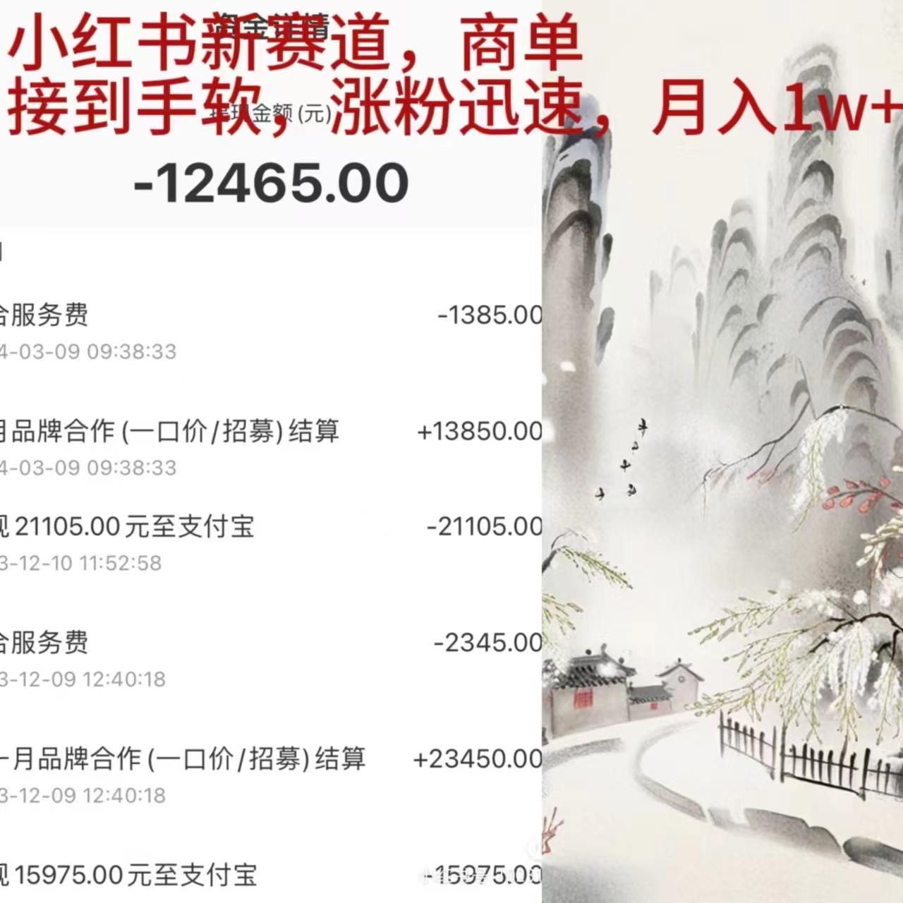 (9476期)小红书新赛道，商单接到手软，涨粉迅速，月入1w+-kk网创