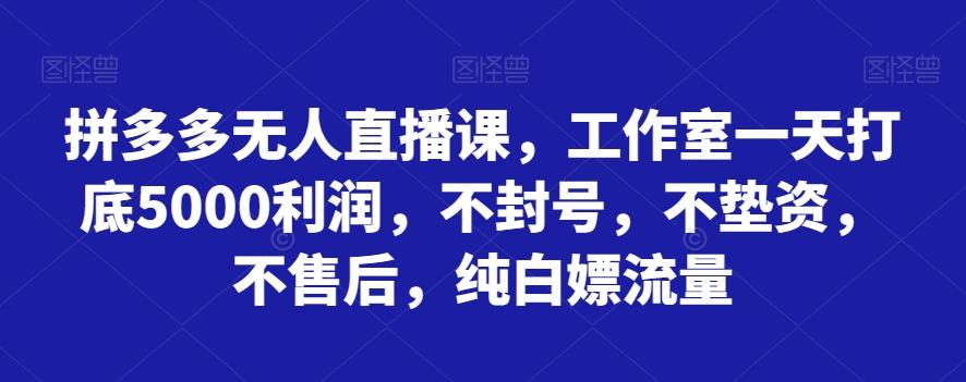 拼多多无人直播课，工作室一天打底5000利润，不封号，不垫资，不售后，纯白嫖流量-kk网创