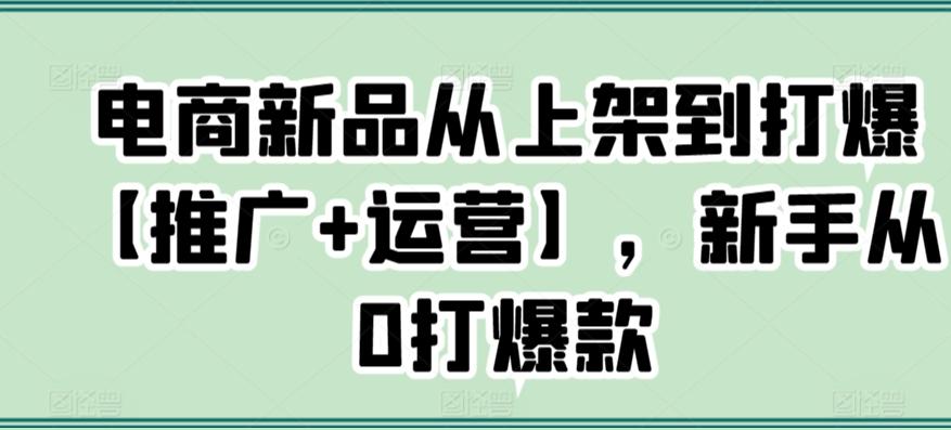 电商新品从上架到打爆【推广+运营】，新手从0打爆款-kk网创