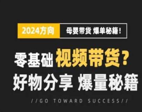 短视频母婴赛道实操流量训练营，零基础视频带货，好物分享，爆量秘籍-kk网创
