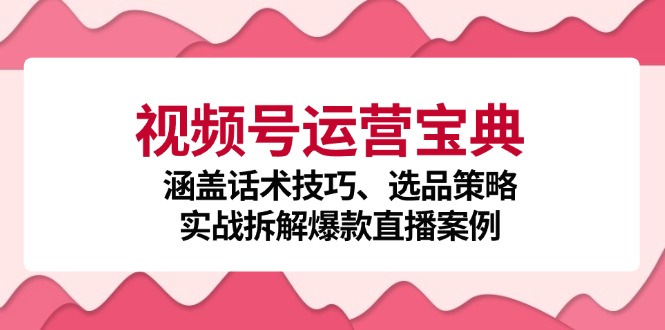 视频号运营宝典：涵盖话术技巧、选品策略、实战拆解爆款直播案例-kk网创