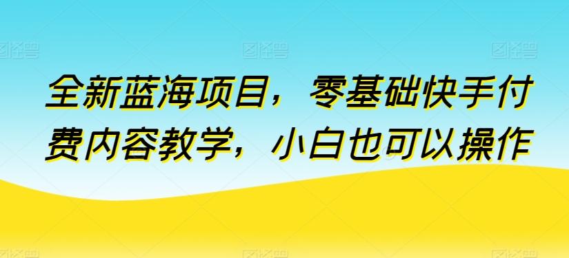 全新蓝海项目，零基础快手付费内容教学，小白也可以操作【揭秘】-kk网创
