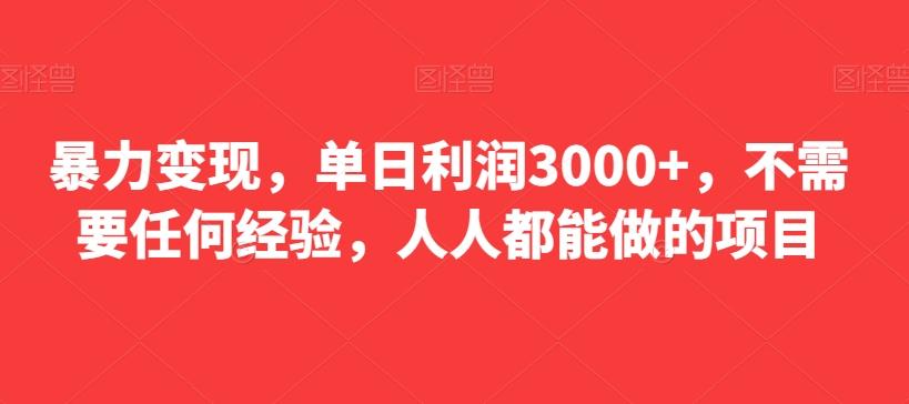 暴力变现，单日利润3000+，不需要任何经验，人人都能做的项目-kk网创