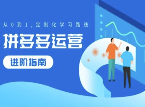 拼多多运营进阶指南，从0到1定制化学习路线-kk网创