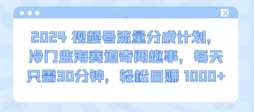 2024视频号流量分成计划，冷门监海赛道奇闻趣事，每天只需30分钟，轻松目赚 1000+【揭秘】-kk网创