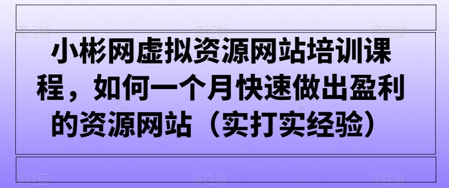 小彬网虚拟资源网站培训课程，如何一个月快速做出盈利的资源网站(实打实经验)-kk网创