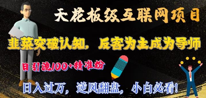 天花板级互联网项目，韭菜突破认知，反客为主成为导师，日引流100+精准粉-kk网创