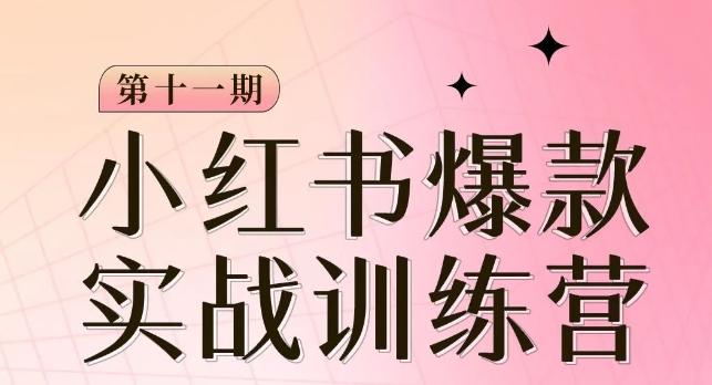 小红书博主爆款训练营第11期，手把手教你从0-1做小红书，从定位到起号到变现-kk网创
