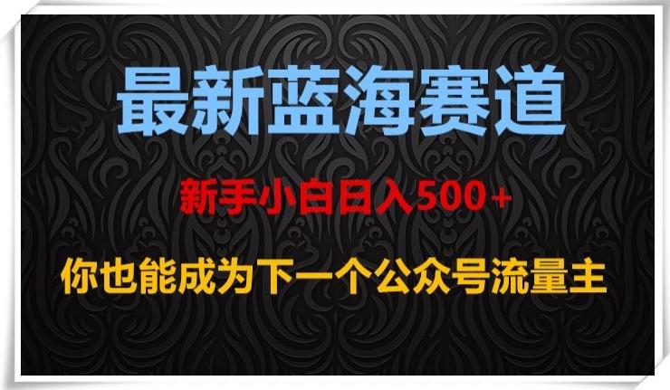 最新蓝海赛道，新手小白日入500+，你也能成为下一个公众号流量主【揭秘】-kk网创