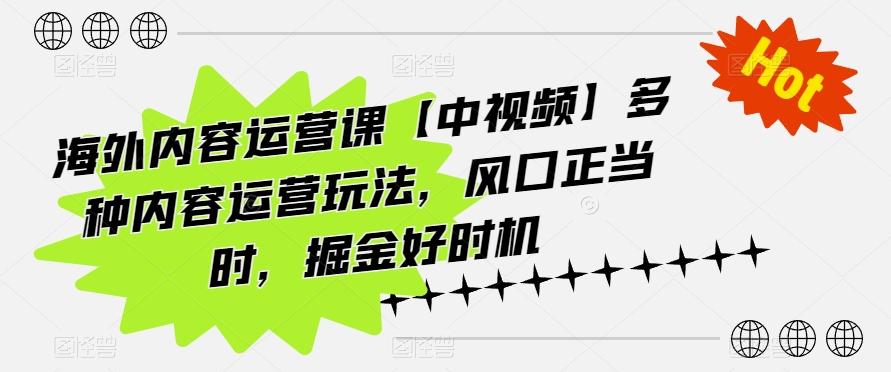 海外内容运营课【中视频】多种内容运营玩法，风口正当时，掘金好时机-kk网创