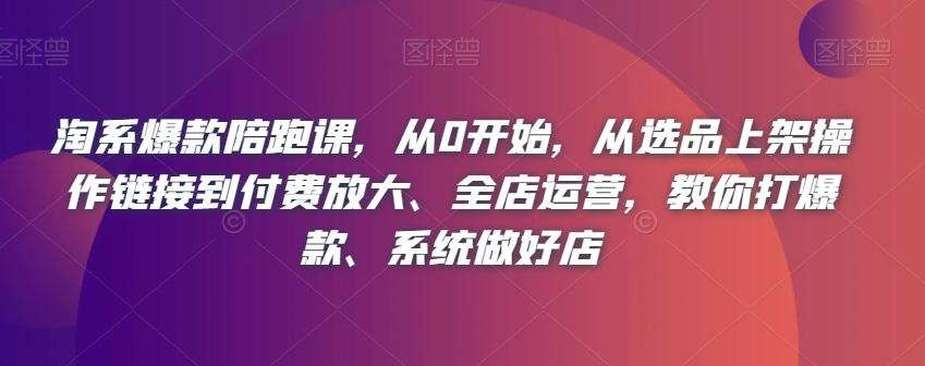 淘系爆款陪跑课，从0开始，从选品上架操作链接到付费放大、全店运营，教你打爆款、系统做好店-kk网创