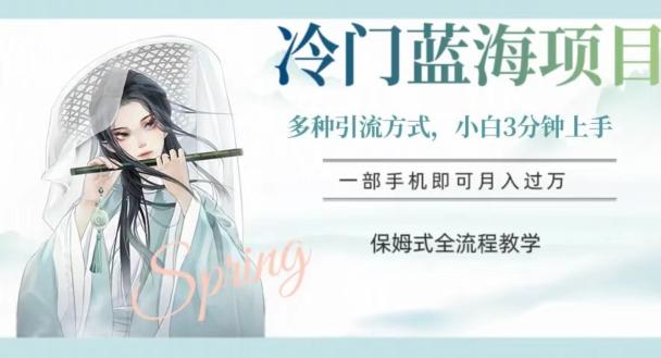 冷门蓝海项目，操作简单，小白3分钟上手，多种引流方式，保姆式全流程教学【揭秘】-kk网创