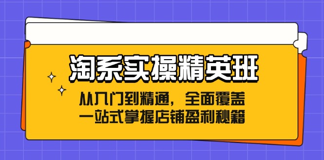 淘系实操精英班：从入门到精通，全面覆盖，一站式掌握店铺盈利秘籍-kk网创