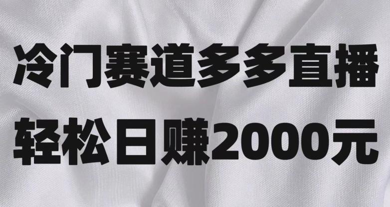 冷门赛道拼多多直播，简单念稿子，日收益2000＋【揭秘】-kk网创