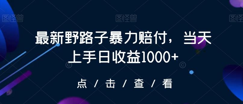 最新野路子暴力赔付，当天上手日收益1000+【仅揭秘】-kk网创