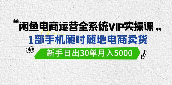 (9547期)闲鱼电商运营全系统VIP实战课，1部手机随时随地卖货，新手日出30单月入5000-kk网创