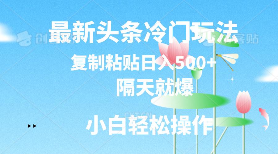 最新头条冷门玩法，隔天就爆，复制粘贴日入500+-kk网创
