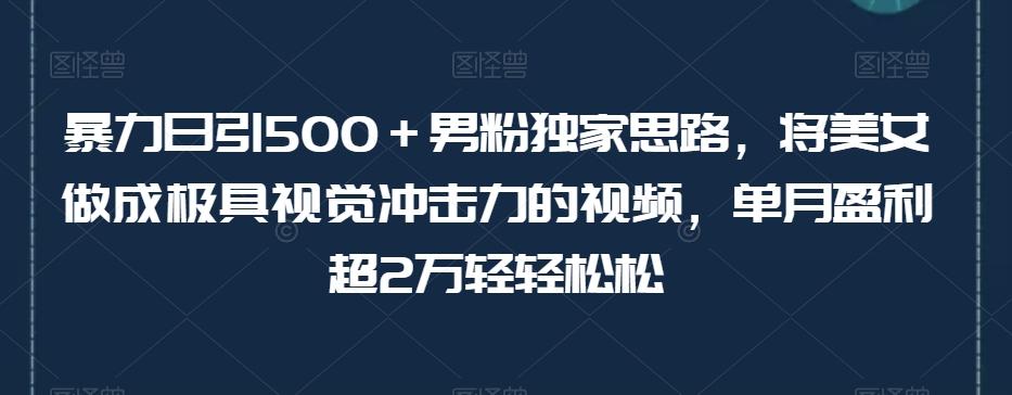 暴力日引500＋男粉独家思路，将美女做成极具视觉冲击力的视频，单月盈利超2万轻轻松松-kk网创