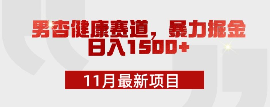 11月最新项目，男杏健康赛道，暴力掘金，日入1500+-kk网创