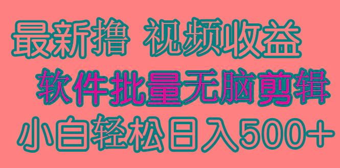 (9569期)发视频撸收益，软件无脑批量剪辑，第一天发第二天就有钱-kk网创