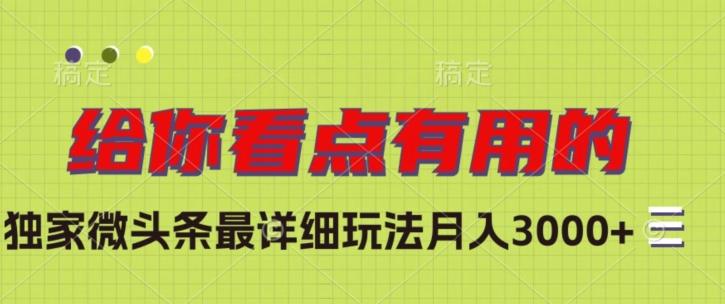 独家微头条最详细玩法，月入3000+【揭秘】-kk网创