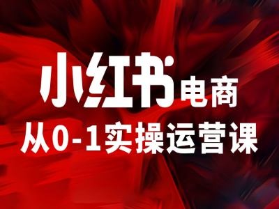 小红书电商从0-1实操运营课，让你从小白到精英-kk网创
