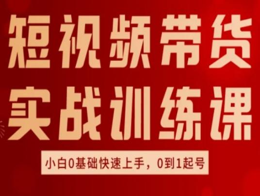 短视频带货实战训练课，好物分享实操，小白0基础快速上手，0到1起号-kk网创